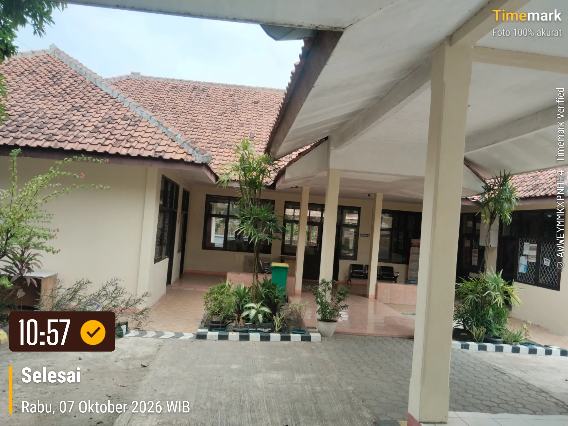 137231